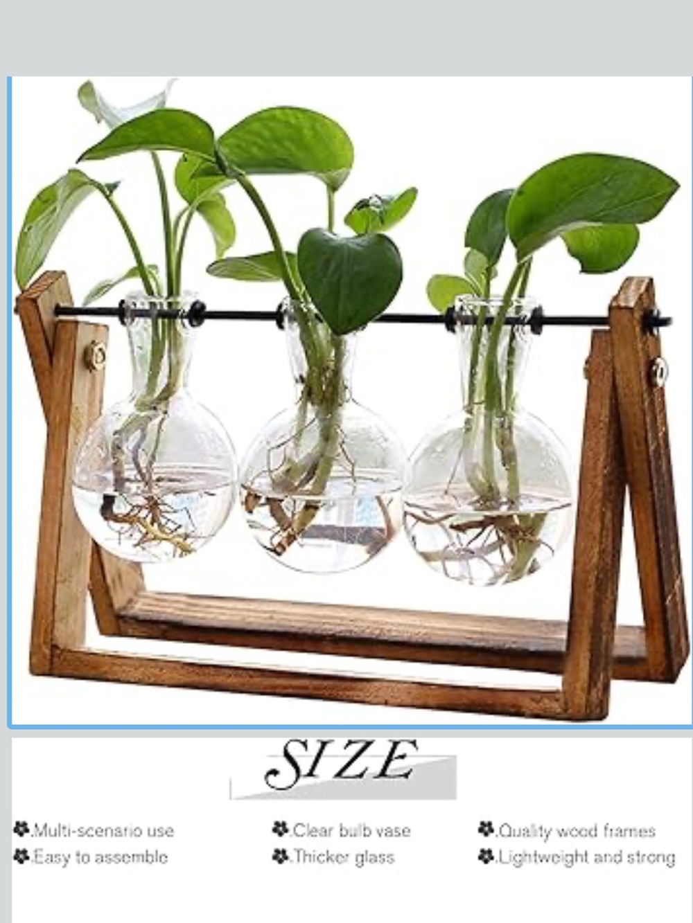 Wood Frame Three-Bulb Clear Glass Propagation Vase - Green